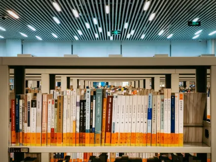 Slottio Casino App Mobile